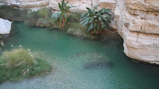A natural pool nestled within a picturesque canyon in Wadi Ash Shab, a serene oasis surrounded by stunning rock formations in the heart of Oman's majestic landscapes.