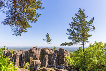 Rock formation with a growing pine tree on top