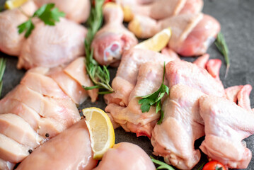 Set of raw chicken fillet, thigh, wings, strips and legs on a stone background of a culinary table with spices