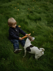 child playing with dog