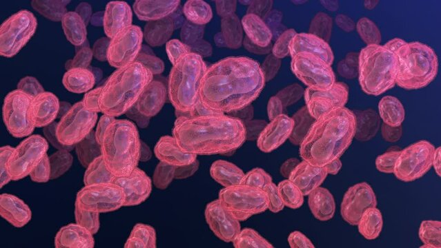 Pox, monkeypox, smallpox or poxviridae virus wiggling, floating loop, 3d animation