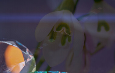 illustration background with Abstract colorful paints and patterns