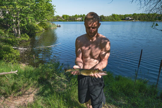person on the lake, holding fresh catch, pickerel held by fit man, leisure summer activity theme.