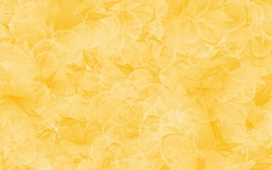 Obraz premium texture of yellow flower