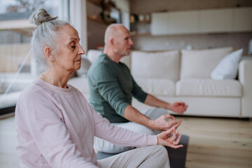 Senior couple doing relaxation exercise together at home.