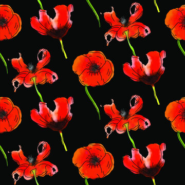 Vvector pattern with poppies on a black background. © Кристина Барсукова