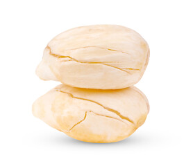 Asian Palmyra palm isolated on white background