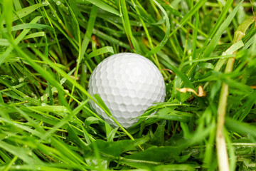 White golf ball in the grass. Golf game.