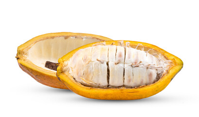 Fresh cocoa isolated on white