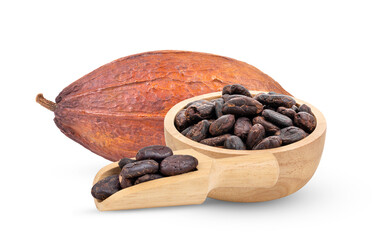 Cocoa isolated on white