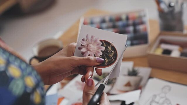 Close up shot of hands of African American woman cutting printed picture of potted succulent plant out of card with scissors doing paper crafts