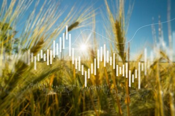 Rising wheat prices in Europe due to the conflict between Russia and Ukraine. Record prices and high prices for bakery.