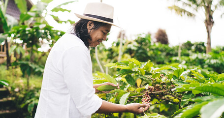 Happy male farmer holding branch with coffee beans during day at plantation in Indonesia, side view of smiling man spending time for visiting agriculture caffeine cultivation at countryside