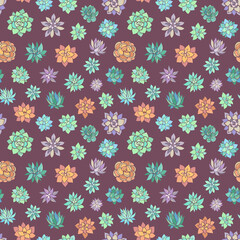Seamless vector pattern of succulents. Background for greeting card, website, printing on fabric, gift wrap, postcard and wallpapers.	
