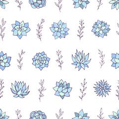 Seamless vector pattern of succulents. Background for greeting card, website, printing on fabric, gift wrap, postcard and wallpapers.	