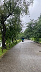 Obraz premium The Tokyo downtown Ueno Park on a rainy day, filled with summer greeneries blossoms. Year 2022 June 6th