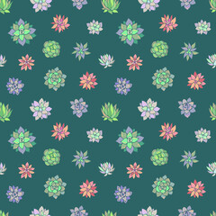 Seamless vector pattern of succulents. Background for greeting card, website, printing on fabric, gift wrap, postcard and wallpapers.	