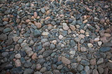 natural real beach stones background in gray tones