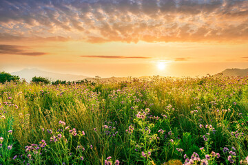 picturesque highland landscape with amazing view from hill with golden grass and green bushes