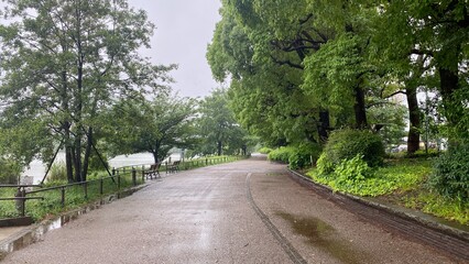 Rainy path at the park of Ueno Tokyo Japan, summer breeze rainy season year 2022 June 6th
