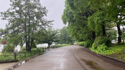 Fototapeta na wymiar Rainy path at the park of Ueno Tokyo Japan, summer breeze rainy season year 2022 June 6th 