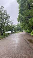 Rainy path at the park of Ueno Tokyo Japan, summer breeze rainy season year 2022 June 6th
