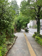 Rainy path at the sidewalk of the street of Ueno Tokyo Japan, downtown city walk, year 2022 June 6th, rainy day
