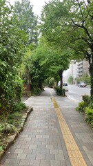 Fototapeta na wymiar Rainy path at the sidewalk of the street of Ueno Tokyo Japan, downtown city walk, year 2022 June 6th, rainy day 