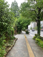 Rainy path at the sidewalk of the street of Ueno Tokyo Japan, downtown city walk, year 2022 June 6th, rainy day
