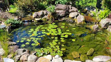 Hendersonville North Carolina Hike in the Mountains