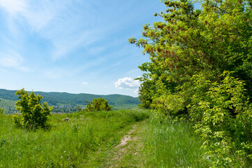 Tourist gem - Shiryaevo village in a picturesque forest and mountain range Zhigulevsky State Reserve, located in the National Park 