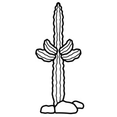 Digital illustration of cactus