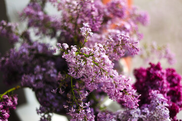 Beautiful bouquet of purple lilacs in a vase inside close up
