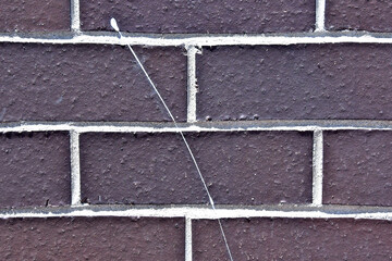 Accidental Art formed by diagonal Paint drip on orthogonal bricks 