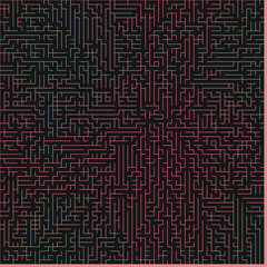Albert-Laszlo Barabasi algorithm network visualization implementation illustration