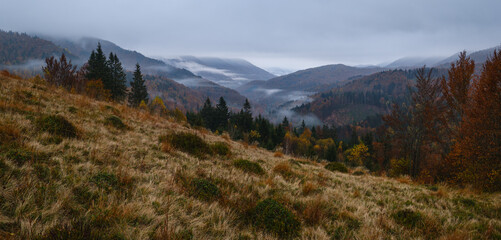 Cloudy and foggy early morning autumn mountains scene. Peaceful picturesque traveling, seasonal, nature and countryside beauty concept scene. Carpathian Mountains, Ukraine.