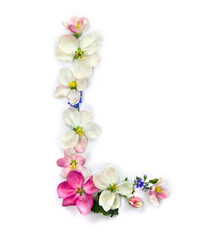 Letter L of flowers apple tree and blue wildflowers forget-me-nots on white background. Top view, flat lay