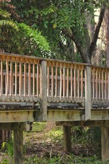 Fototapeta premium wooden bridge in the jungle