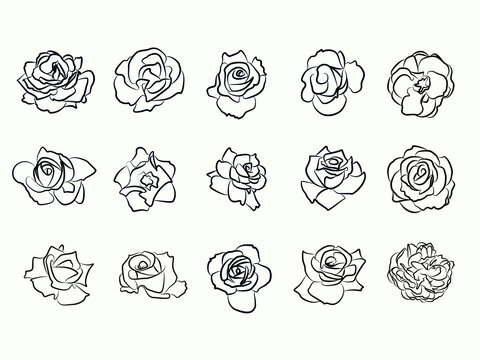 set of hand draw aesthetic line art rose flower.rose flowers clipart icon collection 