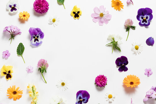 Spring and summer flower composition pattern on white background. Border frame, copy space. Festive flower concept with garden pansy, camomile, colorful buds, branches and leaves. Flat lay, top view.