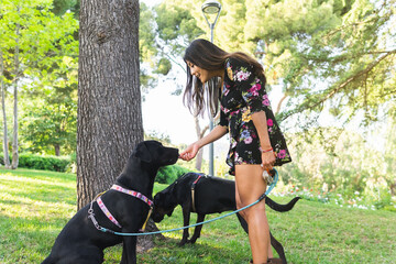 Female owner giving treat to obedient dog