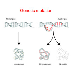 Genetic mutation. Normal gene and Mutated DNA.