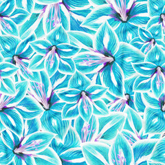 seamless floral turquoise amaryllis pattern