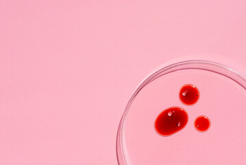 Petri dish with serum or red liquid on pink background. Transparent container with fluid and...