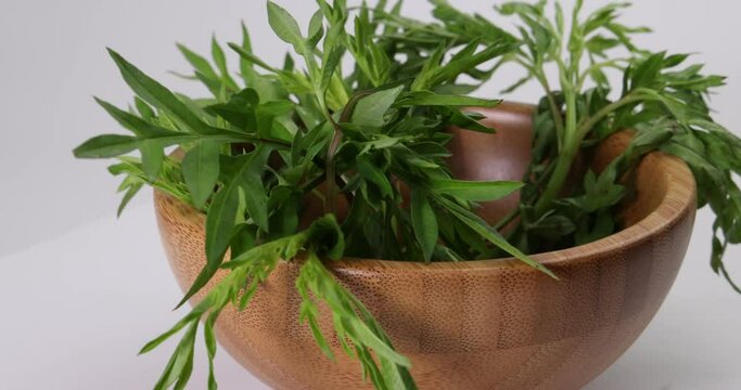 Malaysian Malay herbal leafy appetizer dish daun ulam raja selom lovage in small wooden bowl on white background