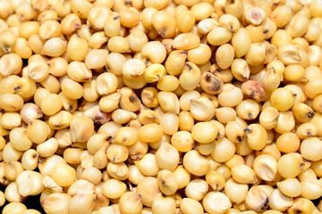Background and texture of sugar sorghum, top view. Sorghum seed texture, top view.