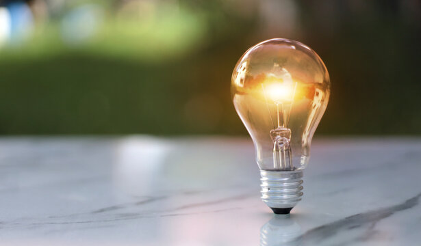 lightbult in soft green nature background.Idea save energy concept