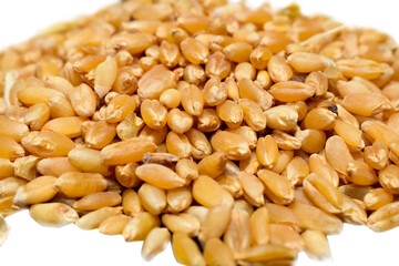 Wheat heap or pile side view isolated on white background