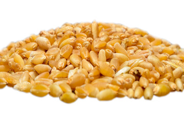 Wheat heap or pile side view isolated on white background