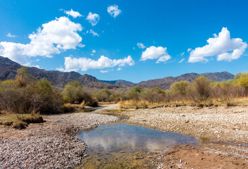 River among the mountains. Calm transparent ovda. Summer landscape. Boom Gorge, Kyrgyzstan.